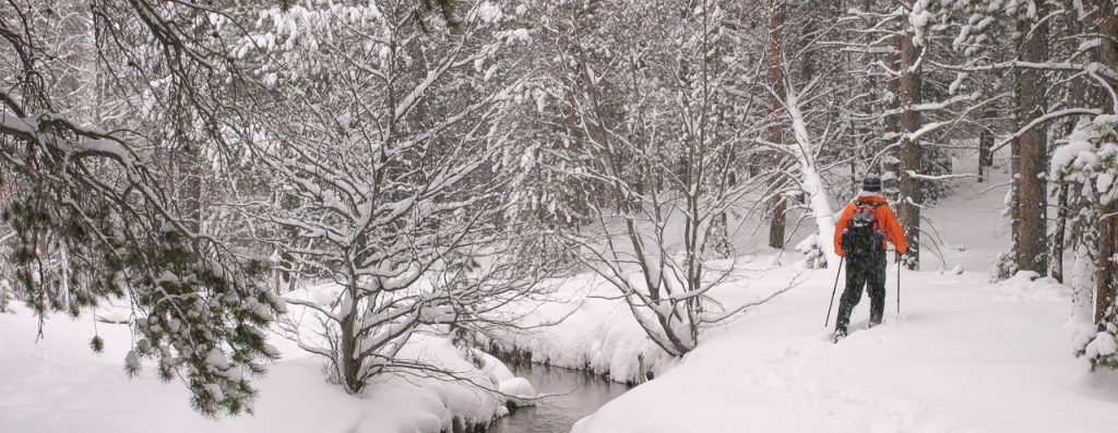 Snowshoeing in Rocky Mountain National Park near Castle Mountain Lodge
