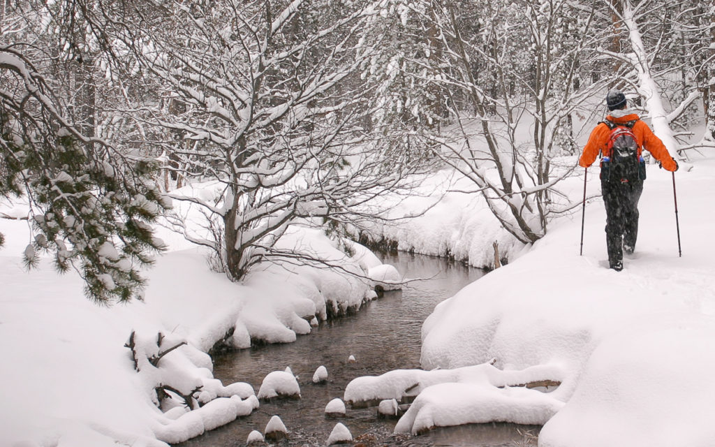 Snowshoeing in Rocky Mountain National Park near Castle Mountain Lodge