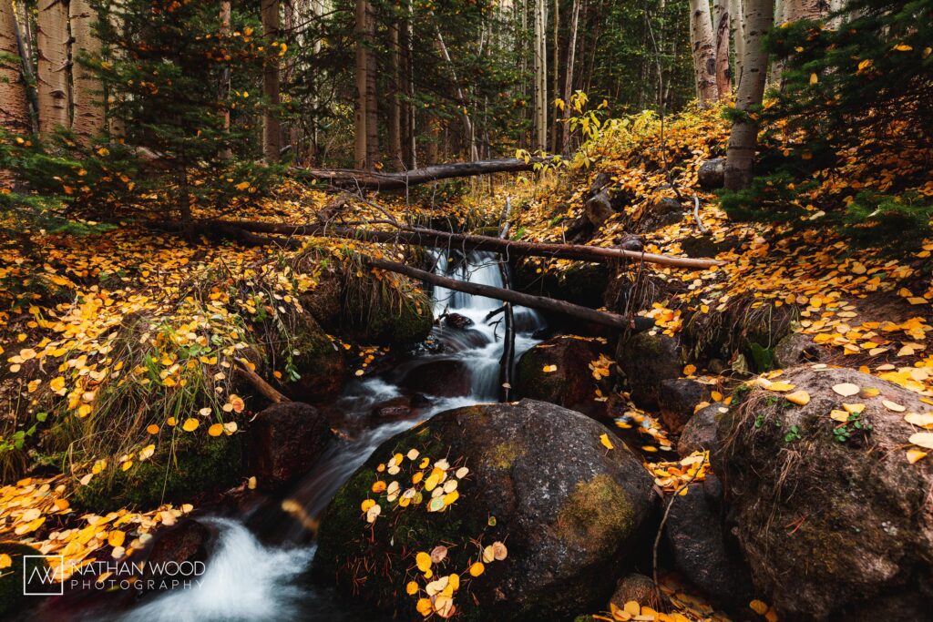 waterfall, aspen leaves, photography