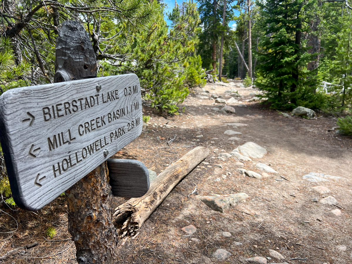 Trail Around Bierstadt